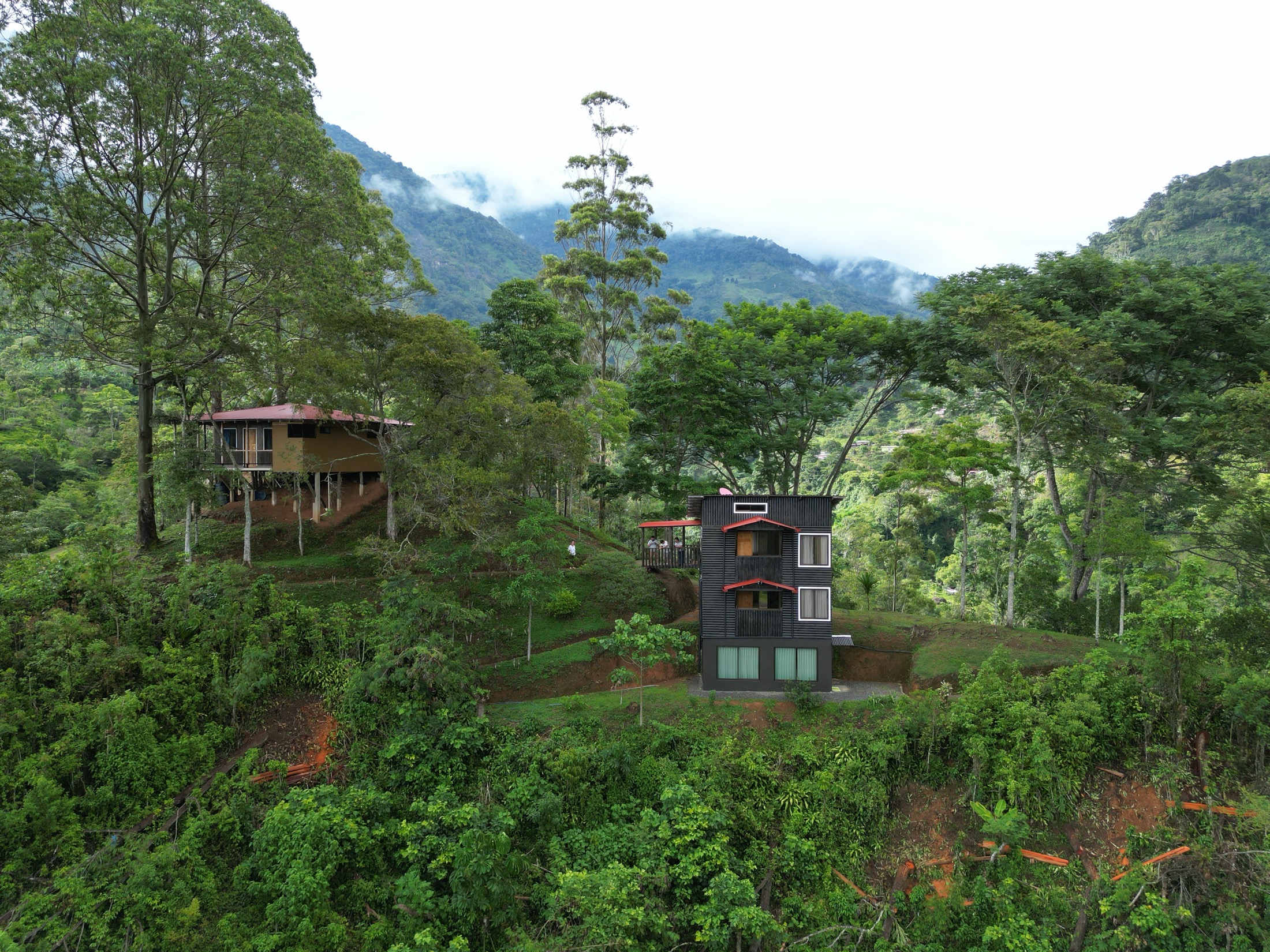 Cabañas Don Freddy entre las verdes montañas de Costa Rica