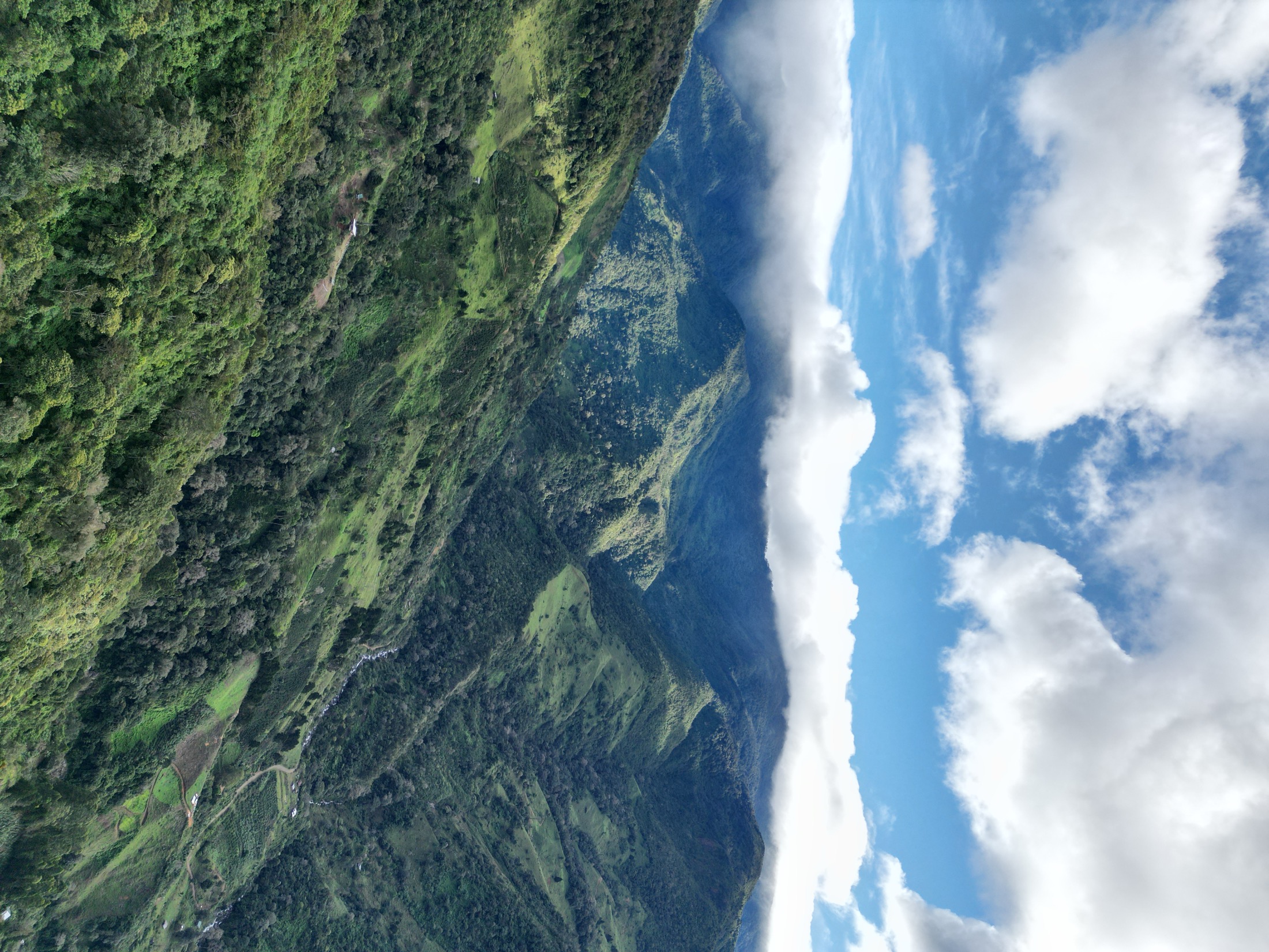 Montañas verdes cerca del Cerro Chirripó