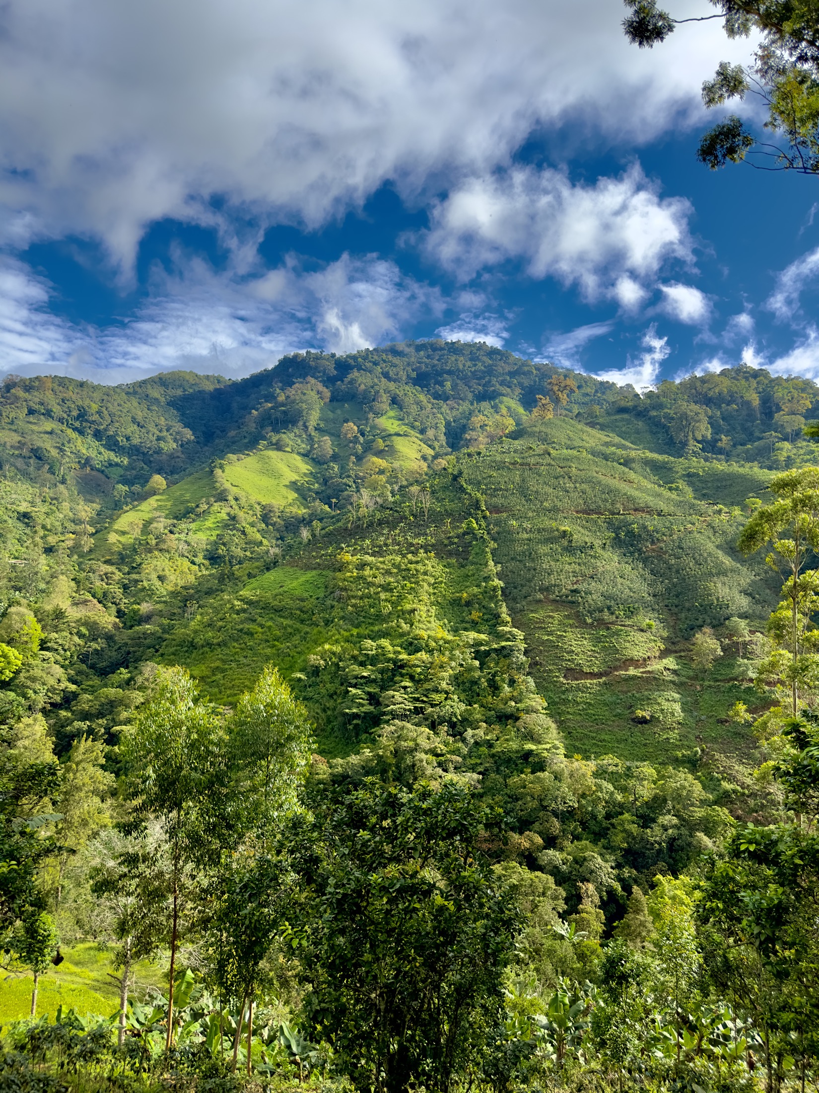 Verdes montañas de Costa Rica